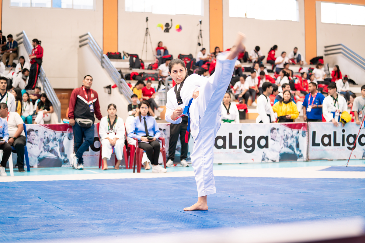 Taller de Taekwondo II