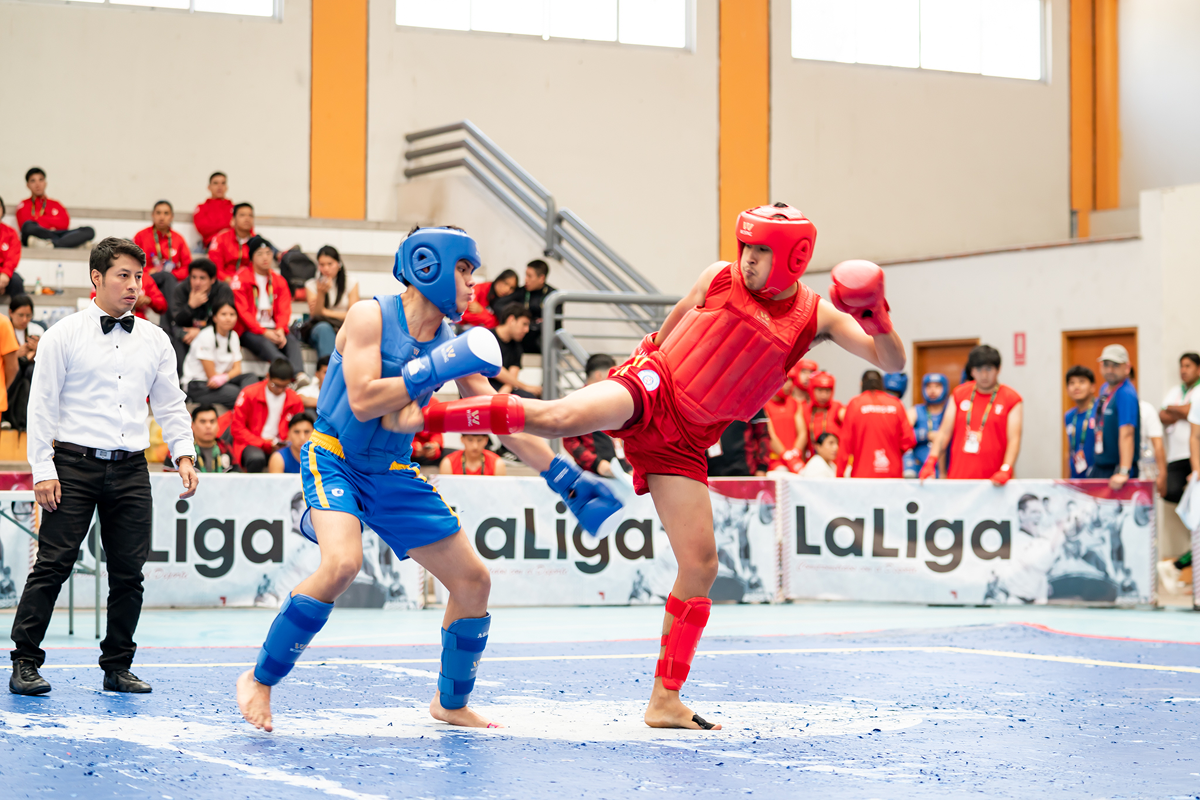 Taller de Kung-Fu II