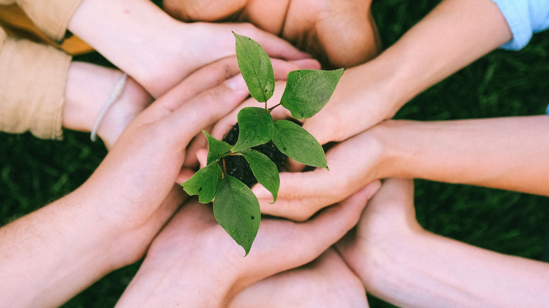 Derechos Humanos y Responsabilidad Social